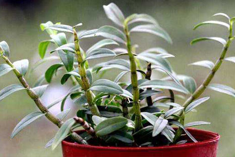 1522807171878317.jpg tsh568.jpg